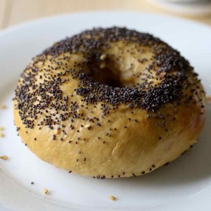 bagel